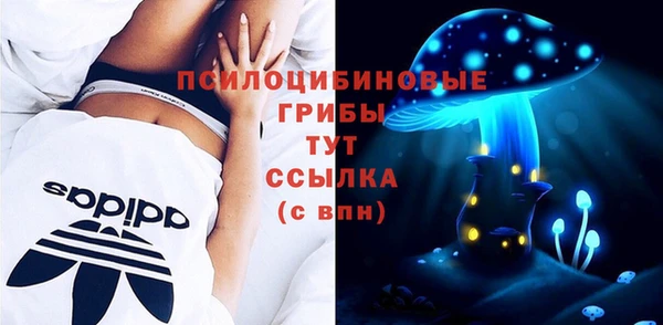 дживик Белоозёрский