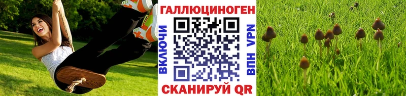 KRAKEN как зайти где найти Бузулук Галлюциногенные грибы ЛСД